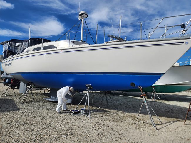 Catalina Morgan 440